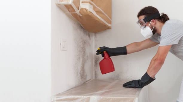 Professional Crawl Space Mold Remediation technician working in Rocky Mount, VA