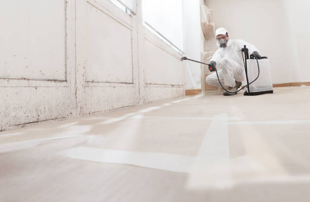 24/7 Emergency Crawl Space Mold Remediation experts in Rocky Mount, VA