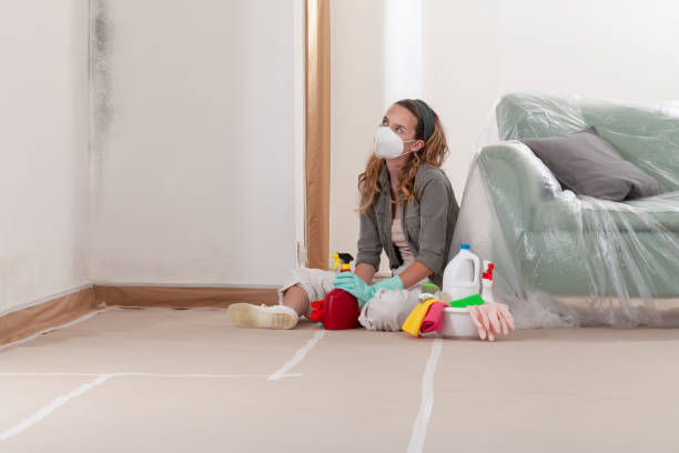 Reliable Crawl Space Mold Remediation contractor in Rocky Mount, VA by Mold Remediation HQ