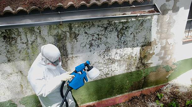 Top rated local Crawl Space Mold Remediation specialists in Rocky Mount, VA